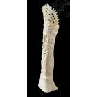 Kézzel faragott csont szobor, asztali dísz