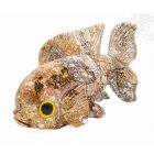 Faragott kő hal szobor – 25 cm