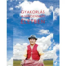 Láma Csöpel - Gyakorlás a mindennapi életben