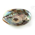 Abalon ékszertartó tálka