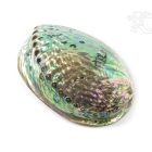 Abalon ékszertartó tálka