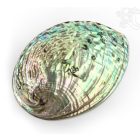 Abalon ékszertartó tálka