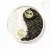 Orgonit Yin-Yang, fekete turmalin - szelenit