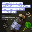 DranPa agyserkentő és memóriajavító gyógynövény-komplex - Myrobalan