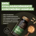 MeTor gyulladáscsökkentő gyógynövény-komplex - Myrobalan