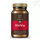 ShiVa vérnyomáscsökkentő gyógynövény-komplex - Myrobalan