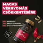 ShiVa vérnyomáscsökkentő gyógynövény-komplex - Myrobalan