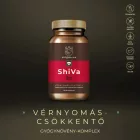 ShiVa vérnyomáscsökkentő gyógynövény-komplex - Myrobalan