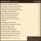 Vira.18 vírus & immunvédelem gyógynövény-komplex - Myrobalan