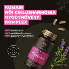 Kumari ciklusharmónia gyógynövény-komplex - Myrobalan