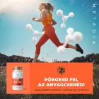 MetaDia anyagcsere-kontroll hatóanyag-komplex - Myrobalan