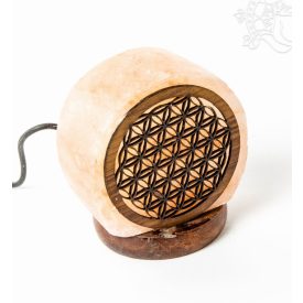 Sólámpa, Életvirág