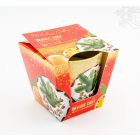 Dísz poharas illatgyertya - karácsonyi narancstorta vörös áfonyával