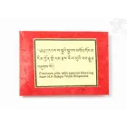 H. H. Sakya Trizin Rinpoche áldását hordozó láma golyók
