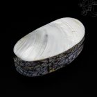 Kagylós ékszertartó doboz-ovális
