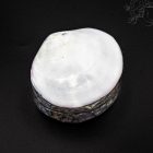 Kagylós ékszertartó doboz