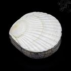 Kagylós ékszertartó doboz - fehér legyező