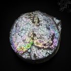 Kagylós ékszertartó doboz - fehér legyező