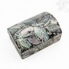 Pávakagyló ékszertartó doboz – 13 cm