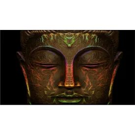 Színes Buddha fej kép, falmatrica