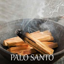 Palo Santo