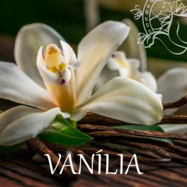 Vanília