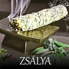 Zsálya
