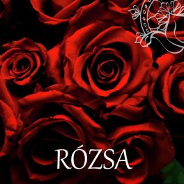 Rózsa